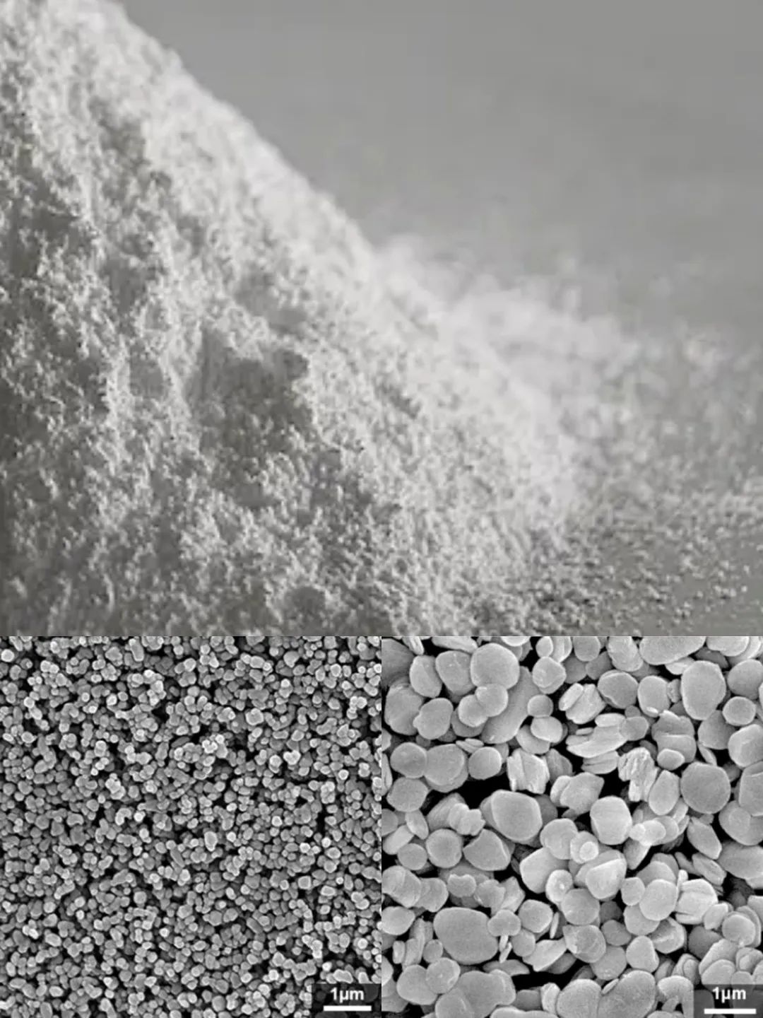 202204061544212647.jpg 202204061544212647.jpg