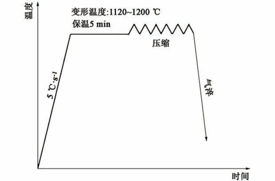 202605151627305956.jpg 202605151627305956.jpg